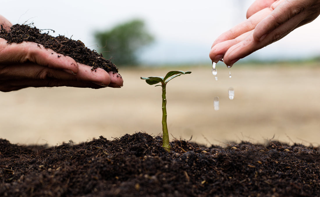 Demand for All Natural Products on the Rise