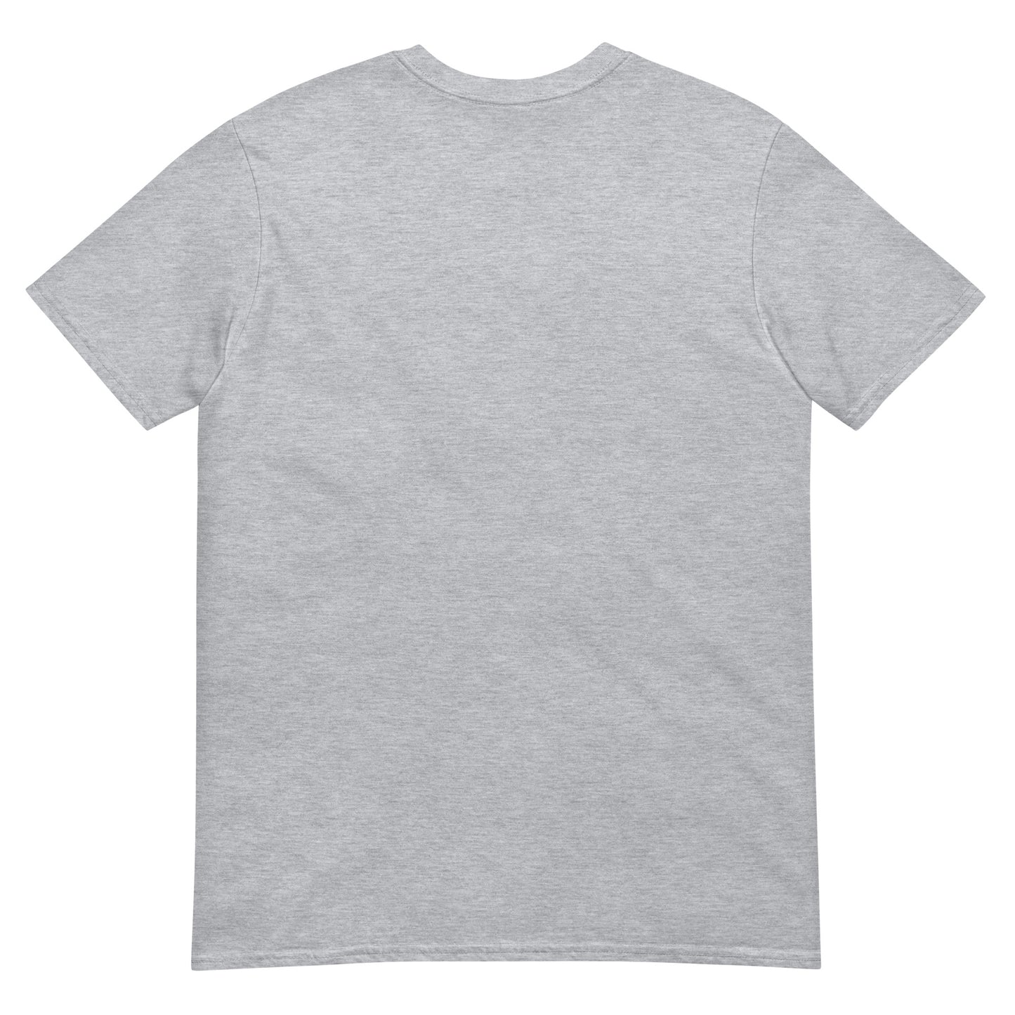 Gray t-shirt Simplistic Apastioli Tee