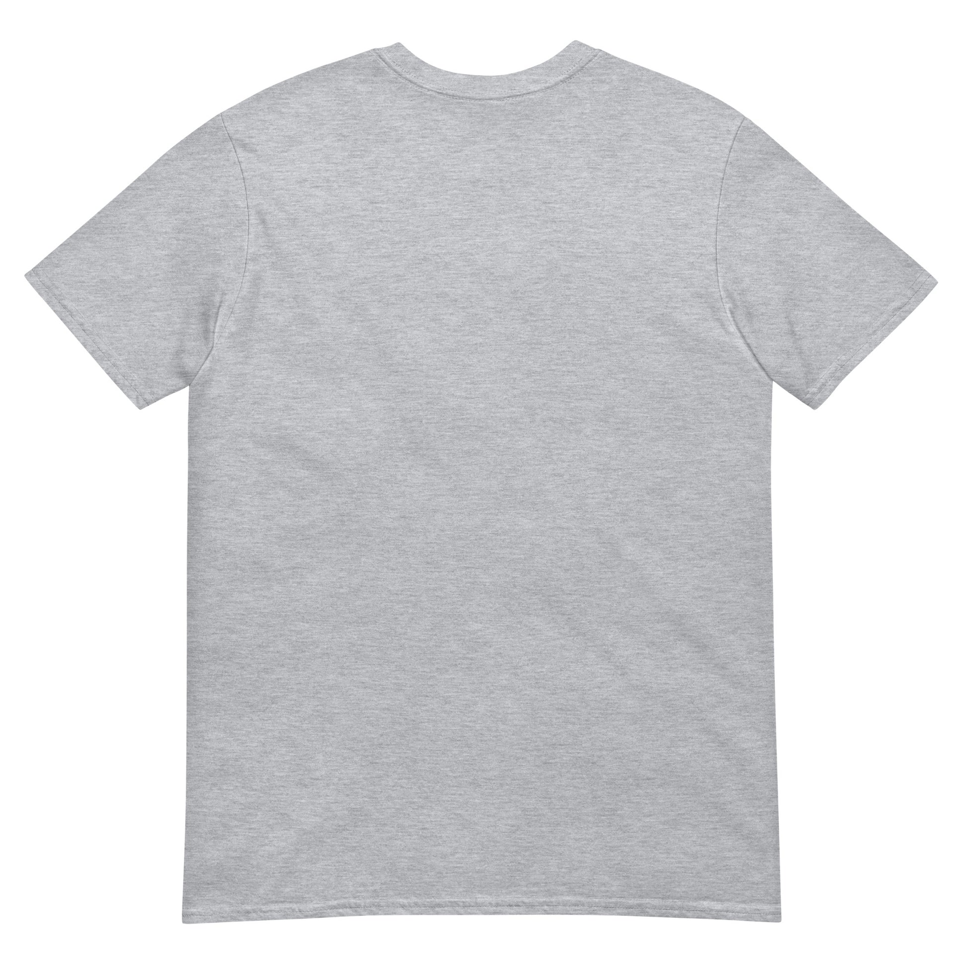 Gray t-shirt Simplistic Apastioli Tee